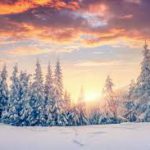 Lezione sull'inverno in inglese