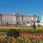 Buckingham Palace: lezione in inglese